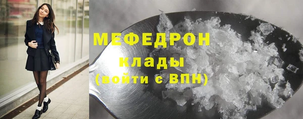 индика Беломорск