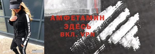 индика Беломорск