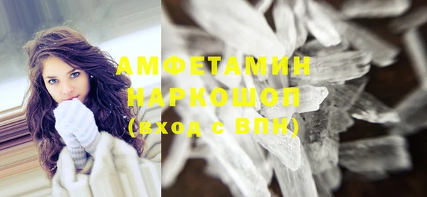 индика Беломорск