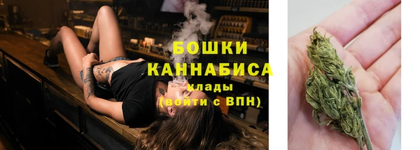 твердый Белокуриха