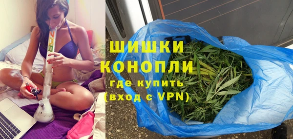 индика Беломорск