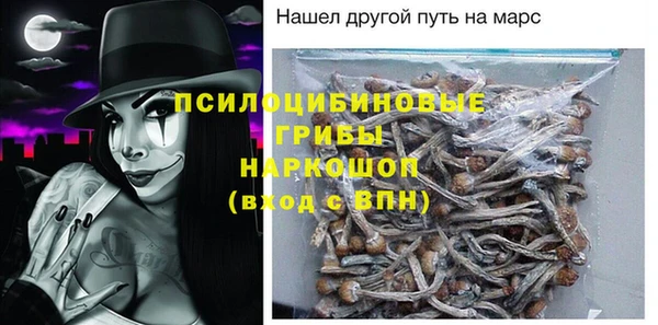 индика Беломорск