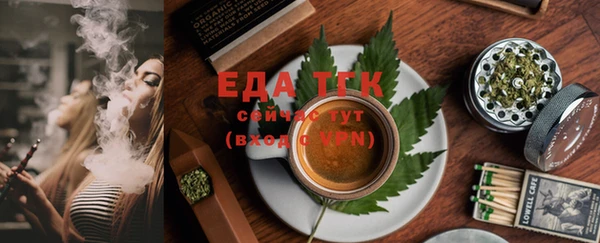 индика Беломорск