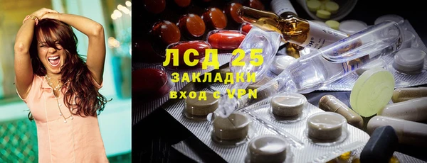 индика Беломорск