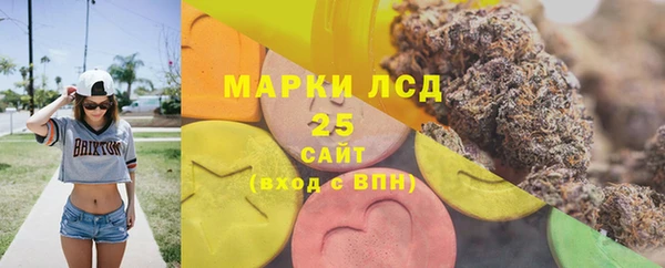 индика Беломорск