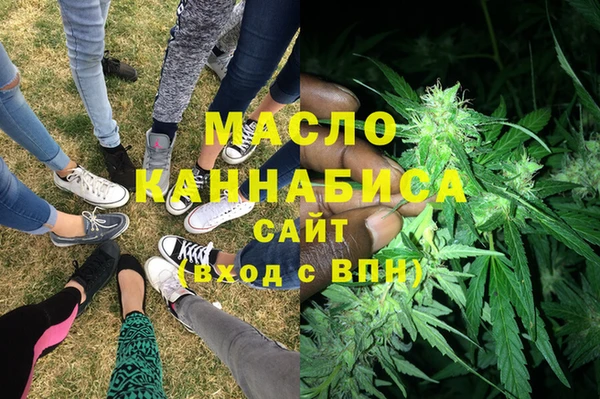 индика Беломорск