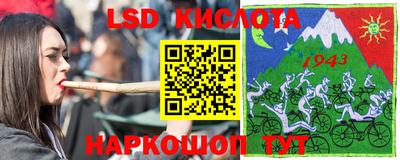 дживик Моздок